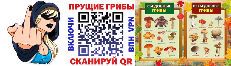Галлюциногенные грибы GOLDEN TEACHER кракен зеркало Петропавловск-Камчатский купить наркотики цена