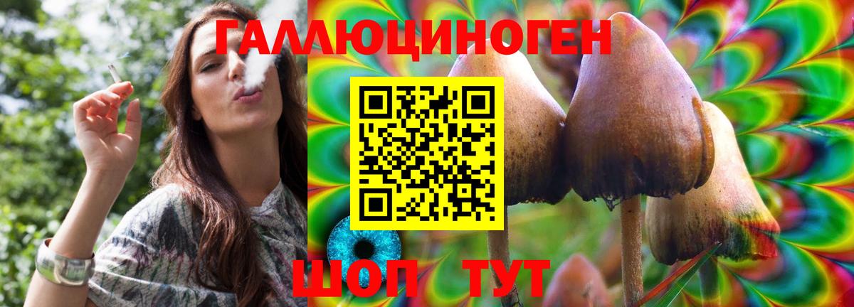 Галлюциногенные грибы Psilocybe  Вход с VPN  где продают   Петропавловск-Камчатский  Галлюциногенные грибы GOLDEN TEACHER 