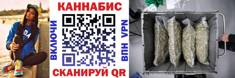 Каннабис Amnesia  mega ТОР  shop телеграм  Петропавловск-Камчатский 